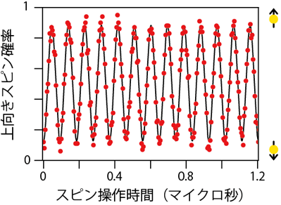 図２　単一電子スピンのラビ振動