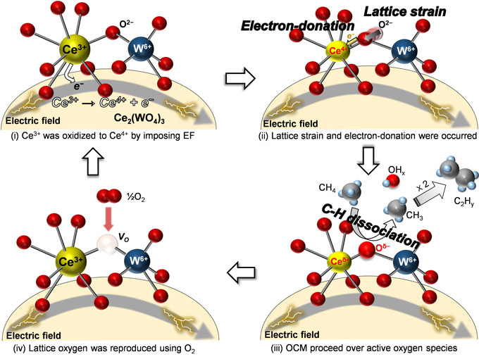 図　低温・酸化還元型でメタン酸化カップリングが進む反応メカニズム
