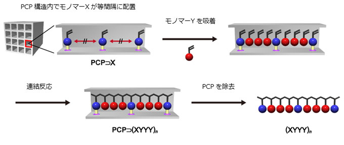 図　多孔性金属錯体（ＰＣＰ）を用いてモノマーの配列を制御できる高分子合成法の模式図