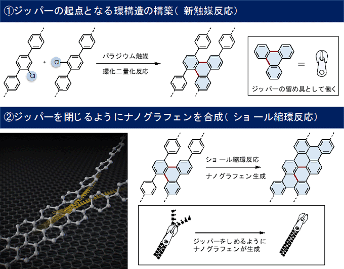 図４　本研究の概要