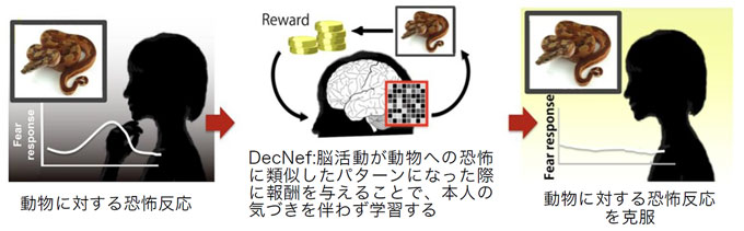 図１　ＤｅｃＮｅｆを用いた恐怖反応の克服