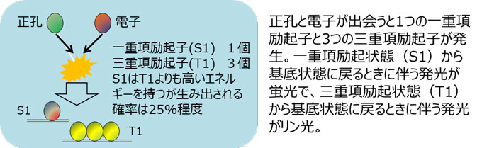 有機ELの発光メカニズム（蛍光とリン光）