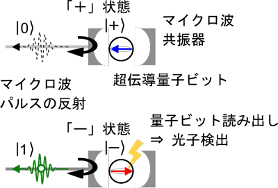 図２　超伝導量子ビットを介した非吸収型単一マイクロ波光子検出器の原理