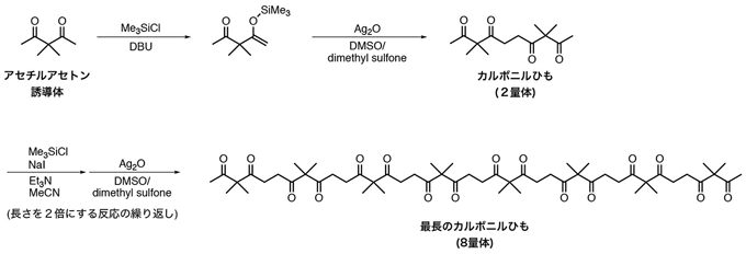 図２　本研究で合成したカルボニルひもの合成経路