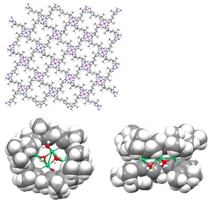 図３　カルボニルひもから誘導したイミンひも化合物で作られた分子集合体