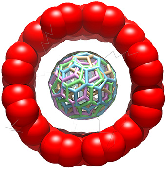 図２　分子ベアリングの結晶構造（上面）