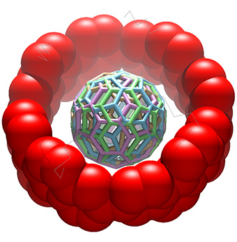 図３　分子ベアリングの結晶構造（横面）