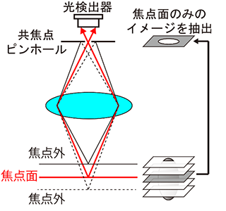 図Ａ