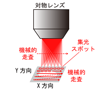 高速に画像取得が可能な光コム顕微鏡を開発