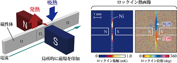 図４　局所磁場印加によって誘起された異方性磁気ペルチェ効果