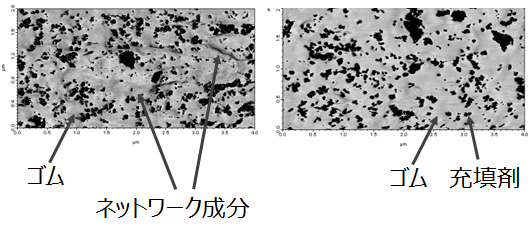 図４　原子間力顕微鏡位相像（左：制御でネットワークあり、右：制御せずネットワークなし）</h4>
  <!-