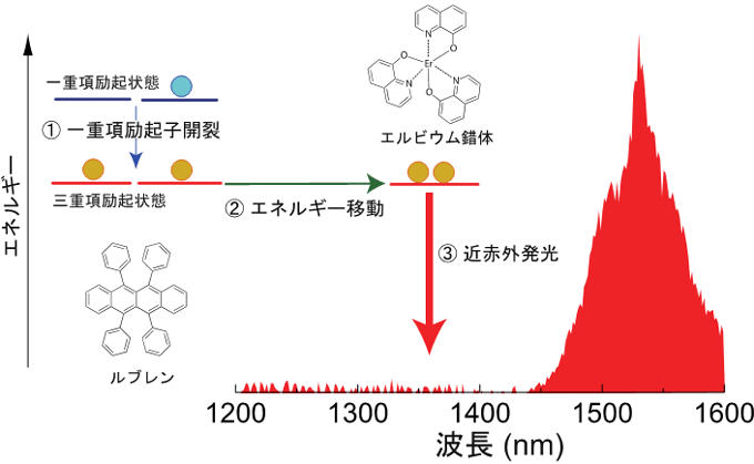 å³ï¼ãä¸éé å±èµ·å­éè£ãç¤ºãåå­ããã¹ãææã«ç¨ããæ°çºåã¡ã«ããºã 