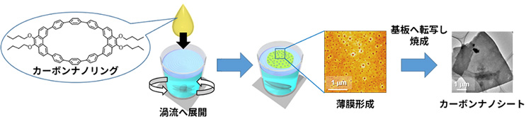 図１　カーボンナノリングを用いたカーボンナノシートの合成