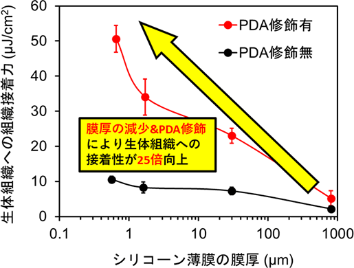 図１　シリコーン薄膜の膜厚減少とPDA修飾による生体組織への接着力の増強効果