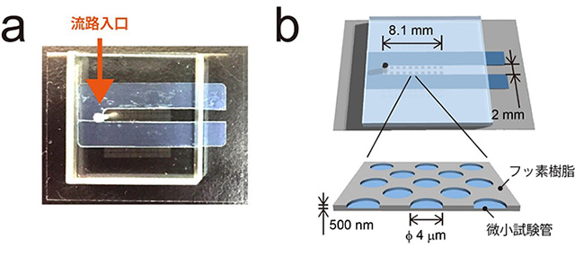 図１　直線流路を実装したマイクロリアクターチップ