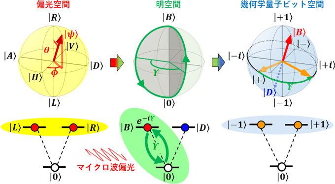 図２　偏光マイクロ波によるホロノミック量子ゲート操作の概念図