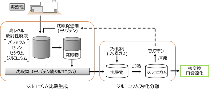 å³ï¼ãã¸ã«ã³ãã¦ã ååãã­ã»ã¹