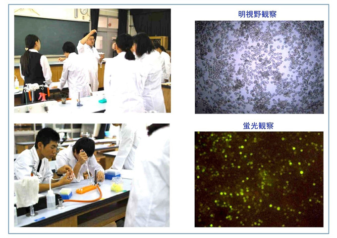 写真３　静岡県立韮山高等学校での実験風景および実験結果