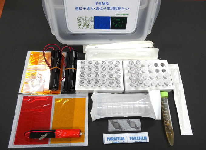 共同発表 先端バイオ研究の理解をめざした高校理科教材を開発 生きた細胞 細胞小器官 細胞内タンパク質の動きを見る