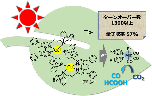 å³ãéï¼ï¼£ï½ï¼é¯ä½ã¨ãã³ã¬ã³ï¼ï¼­ï½ï¼é¯ä½ãçµã¿åãããï¼£ï¼¯ï¼éååè§¦åªåå¿