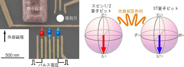 図１　スピン１／２量子ビット－ＳＴ量子ビット複合系