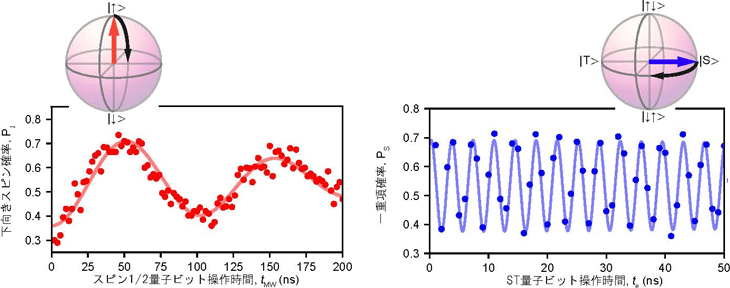 図２　スピン１／２量子ビットおよびＳＴ量子ビットの独立な動作確認