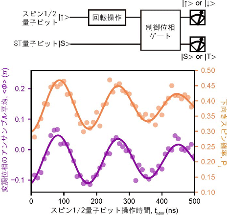 図４　スピン１／２量子ビット－ＳＴ量子ビット間での制御位相ゲート