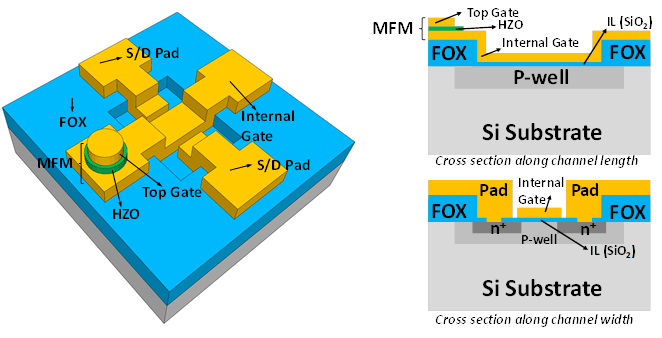 図１　作製したＭＦＭＩＳ－ＦＥＴの外観（左）および断面図（右）