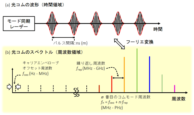 双方向動作型デュアルコムファイバレーザーの開発に成功