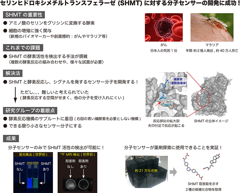 å³ãã»ãªã³ããã­ã­ã·ã¡ãã«ãã©ã³ã¹ãã§ã©ã¼ã¼ï¼ï¼³ï¼¨ï¼­ï¼´ï¼ã«å¯¾ããåå­ã»ã³ãµã¼ã®éçºã«æåï¼