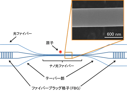 å³ï¼ãããåãã¡ã¤ãã¼å±æ¯å¨ã¨åå­ãç¨ããå±æ¯å¨éå­é»æ°åå­¦ç³»ã®æ¨¡å¼å³