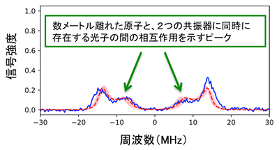 å³ï¼ãæ°ã¡ã¼ãã«é¢ããåå­ã¨ãï¼ã¤ã®å±æ¯å¨ã«åæã«å­å¨ããåå­ã®éã®ç¸äºä½ç¨ãç¤ºãå®é¨çµæ