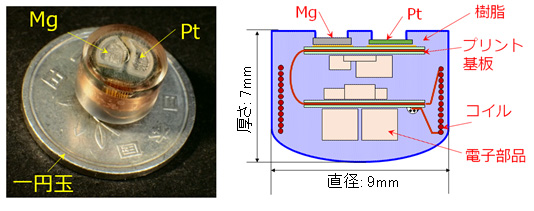 図１　試作した胃酸発電で駆動する「飲む体温計」