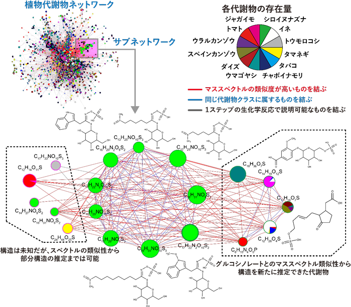 å³ï¼ãæ¤ç©ä»£è¬ç©ãããã¯ã¼ã¯ã®å¿ç¨ä¾