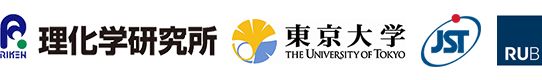 理化学研究所 東京大学 科学技術振興機構（ＪＳＴ） ルール大学ボーフム校