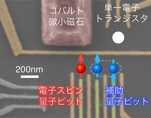 図２　三重量子ドット構造による電子スピン量子ビットのハイブリッドデバイス