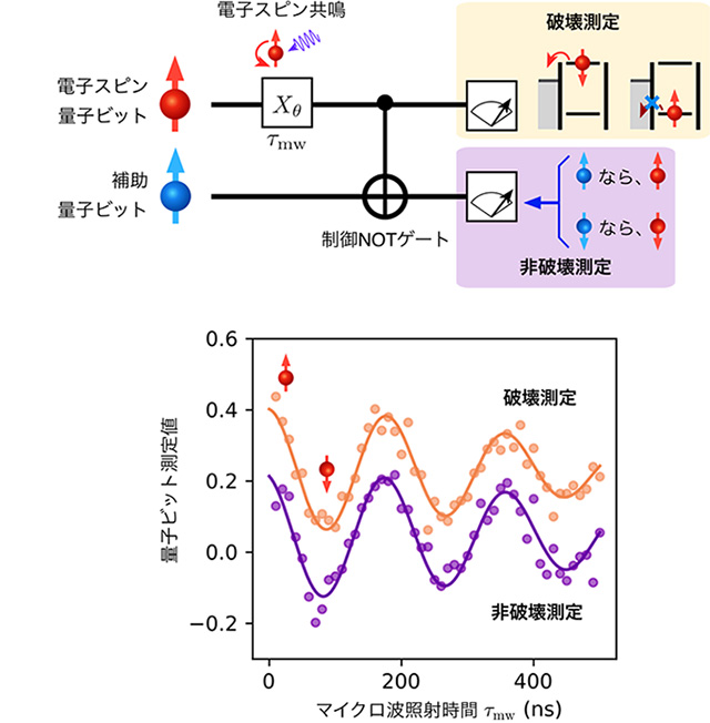 å³ï¼ãé»å­ã¹ãã³éå­ãããã®éå­éç ´å£æ¸¬å®