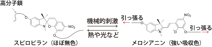 図１　代表的なメカノフォアとしてよく知られているスピロピラン