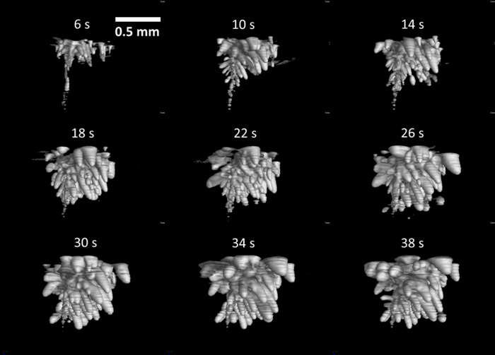 図５　アクリルの撮影結果（図４）における発泡部位の三次元表示