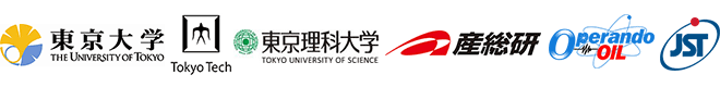 反強磁性交換相互作用に起因するダブロン―ホロン間引力の発見