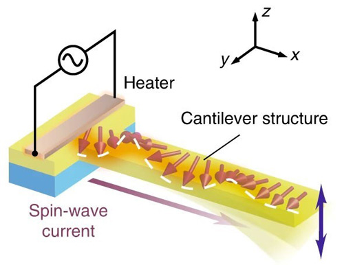 A schematic illustration of the sample used in the present study