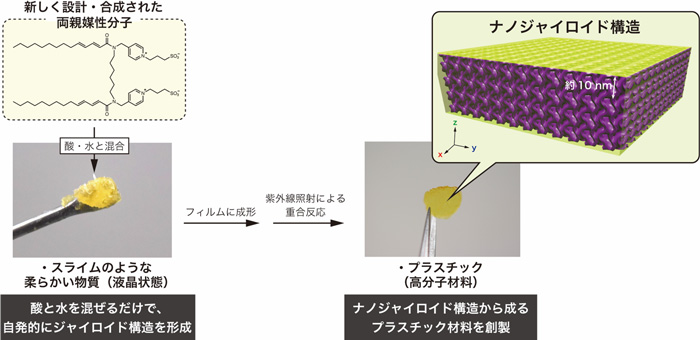 図３　設計・合成した両親媒性分子の構造とそれを用いたナノ構造高分子膜の作成