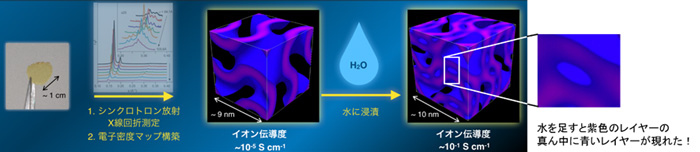 図４　高分子膜中におけるナノ構造の解析結果