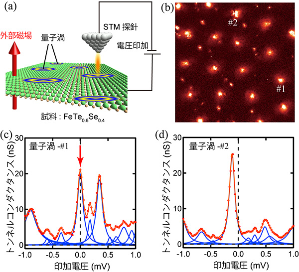 図１　ＳＴＭ／ＳＴＳを用いたトンネルスペクトル測定とその結果