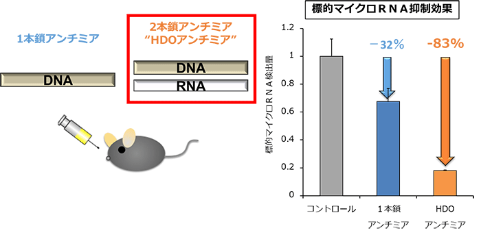 図１