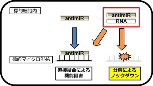 図２