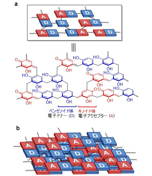 図１　ＲＦ光触媒樹脂の（ａ）基本骨格構造および（ｂ）積層構造の概略