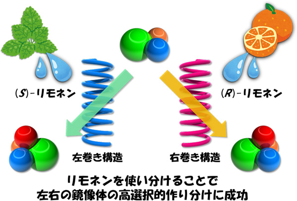 図３　リモネンによる左右らせん構造の誘起と高選択的不斉触媒としての応用