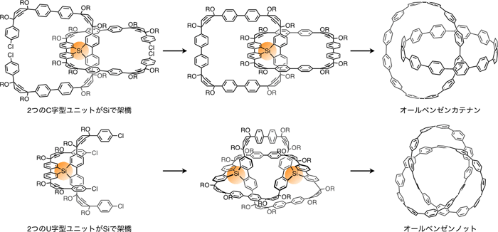 図４　オールベンゼンカテナン（上）およびノット（下）の合成経路（詳細）