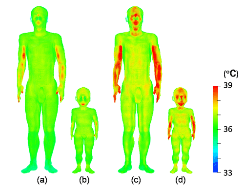 図５　体表面温度分布